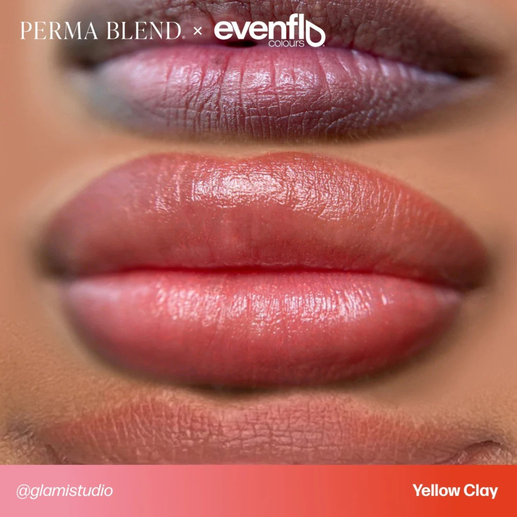 Evenflo Colours | Lip Shades - Tina Davies Professional
