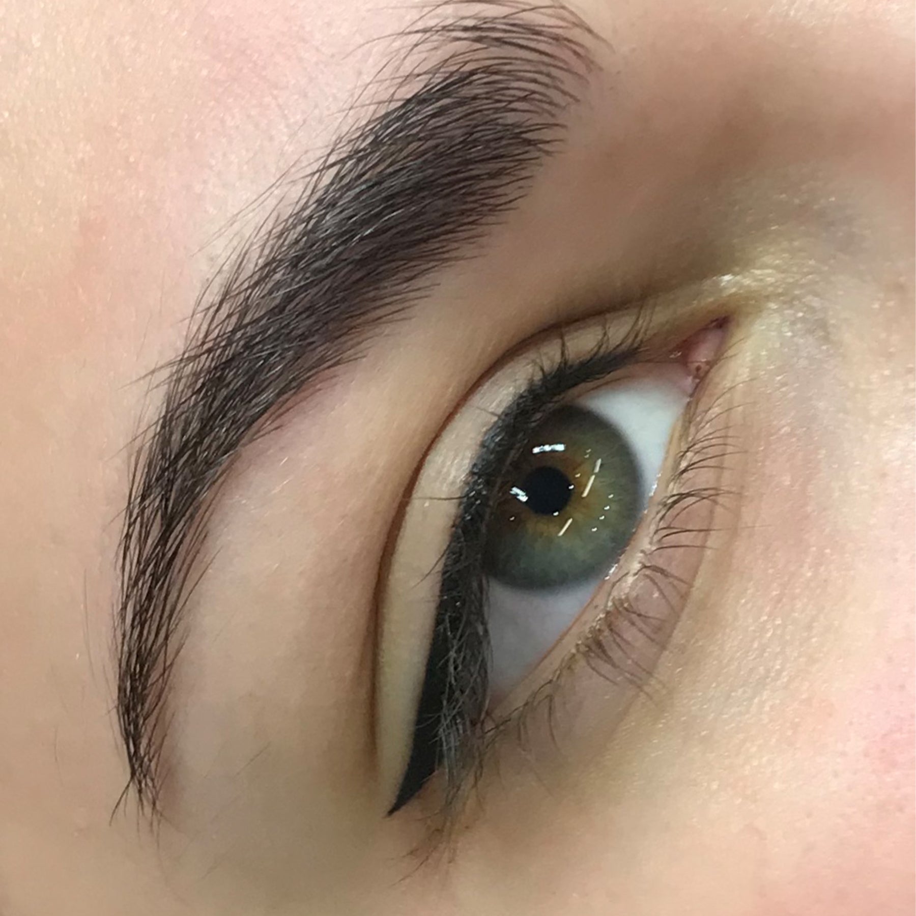 Beauté Academy Fundamentals of Eyeliner Tattooing Online Course for Permanent Makeup Artists on The Collective by Tina Davies