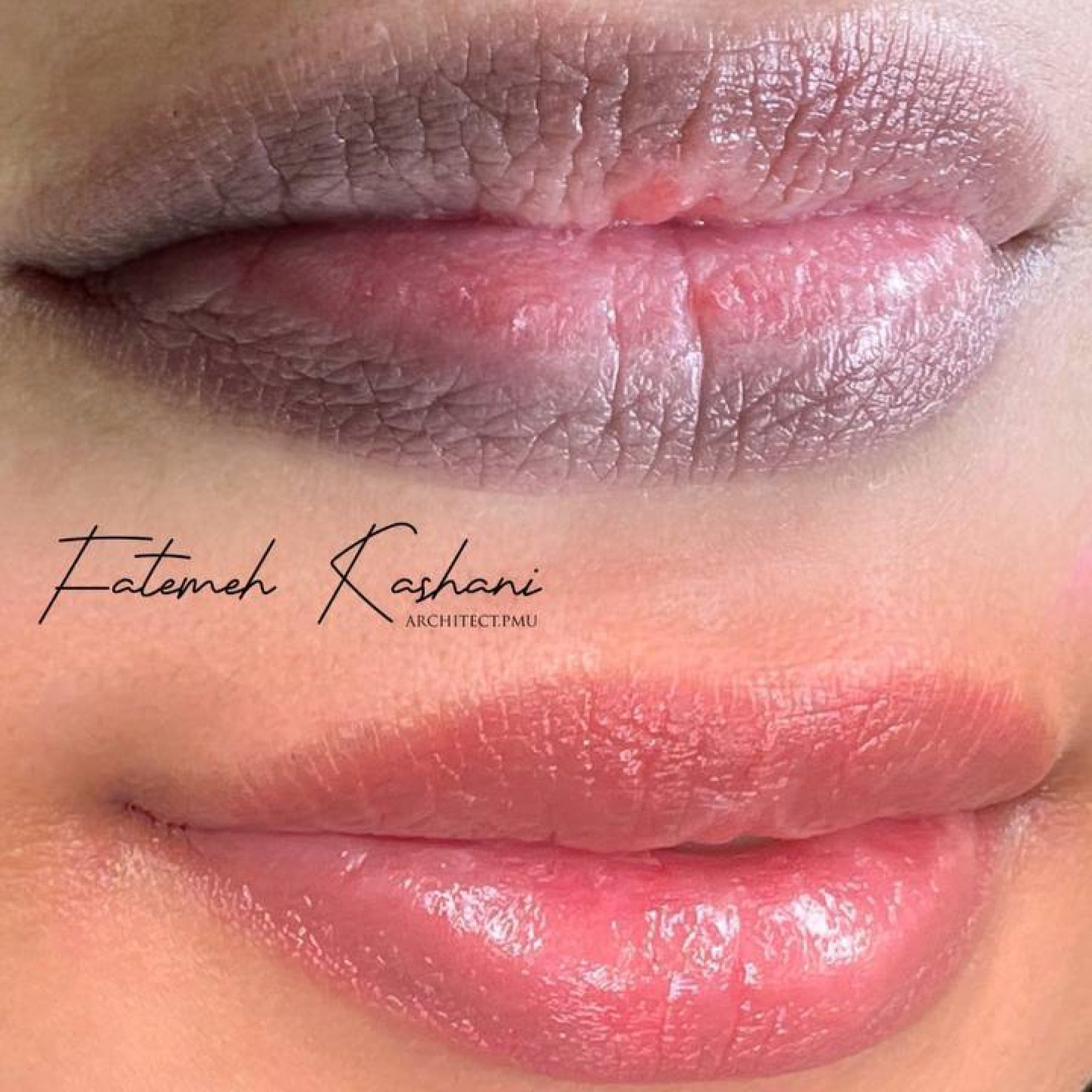 Hanafy Dark Lips Pigments - Tina Davies Professional