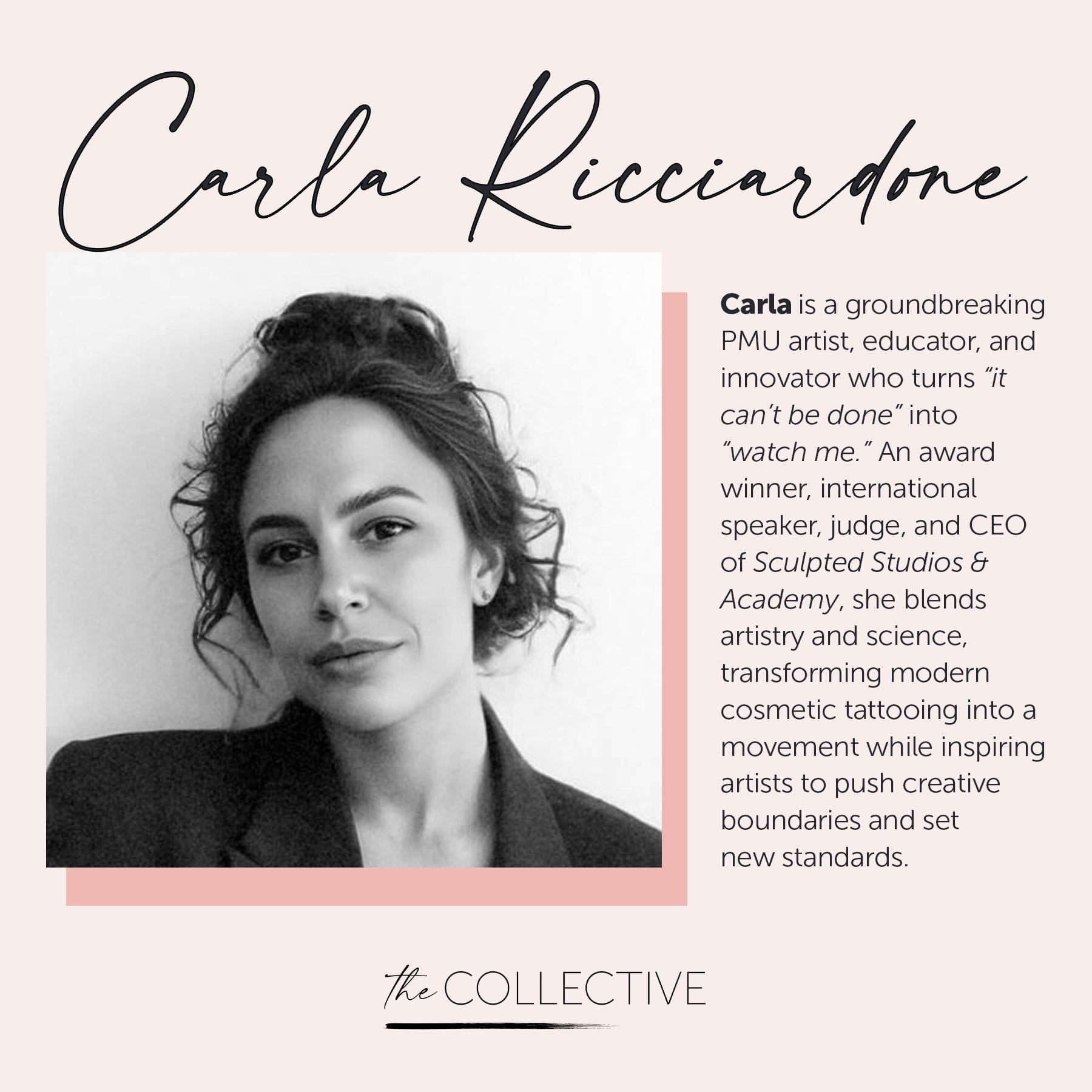 Ink to Income: The Business Setup Guide by Carla Ricciardone - Tina Davies Professional