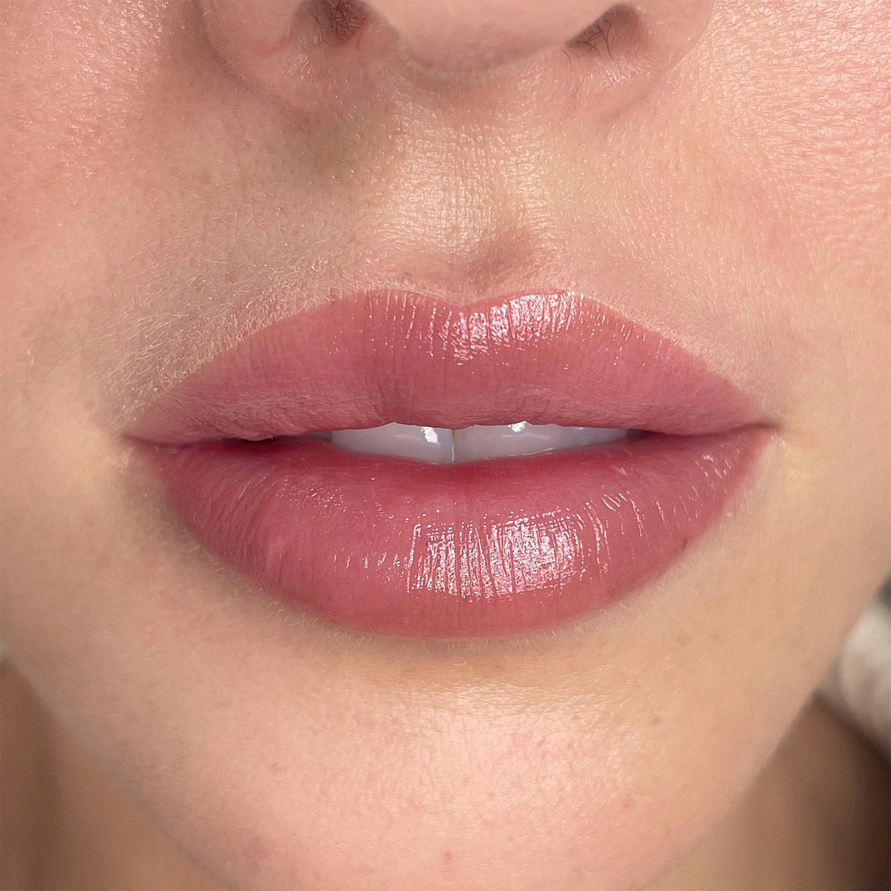 Jasmine Diebelius Lip Magic Lip Blushing Online Course on The Collective Tina Davies Professional