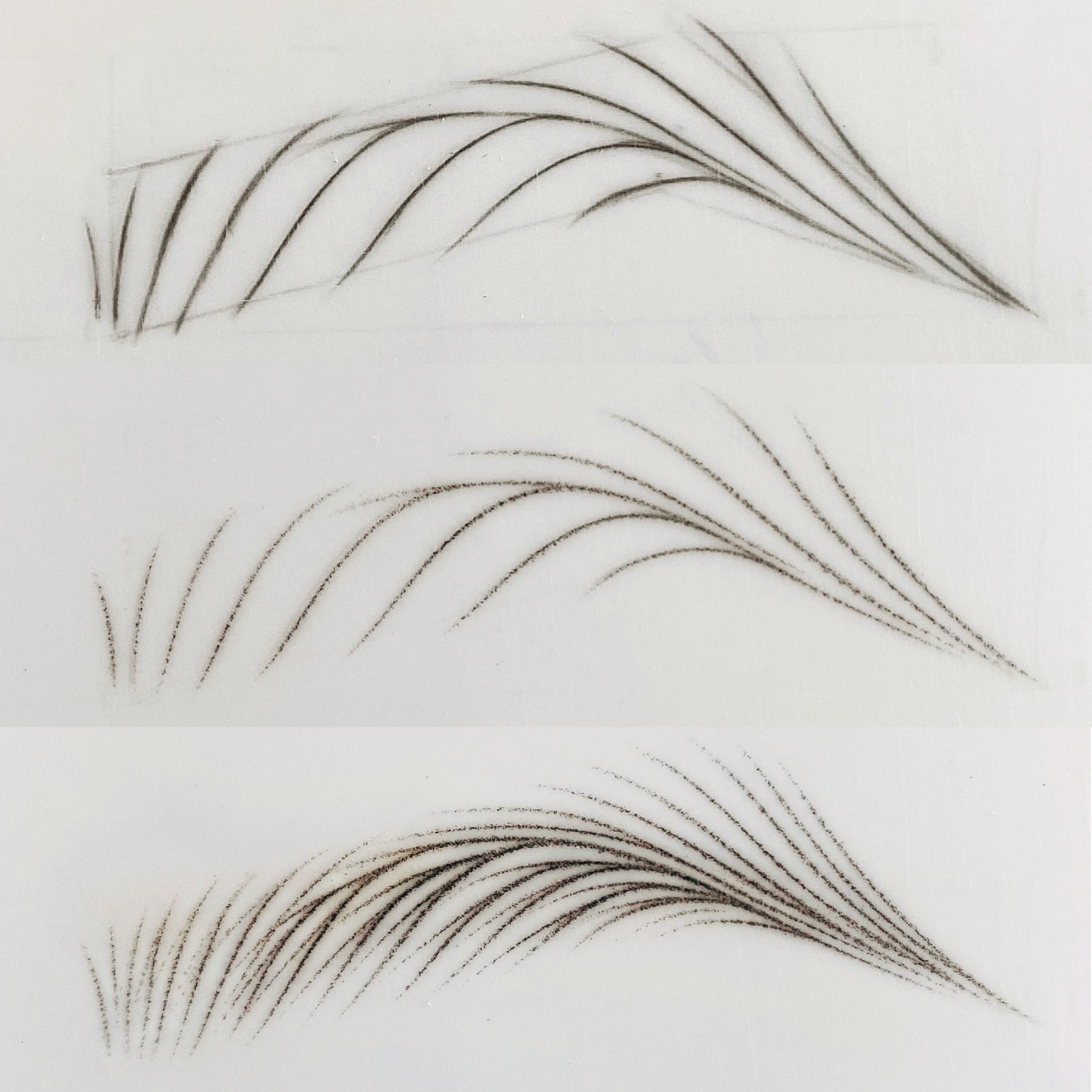 Nano Brows - Tina Davies Professional