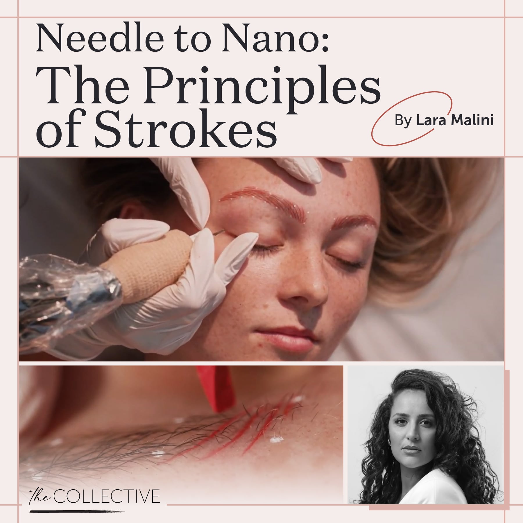Needle to Nano: The Principles of Strokes by Lara Malini - Tina Davies Professional