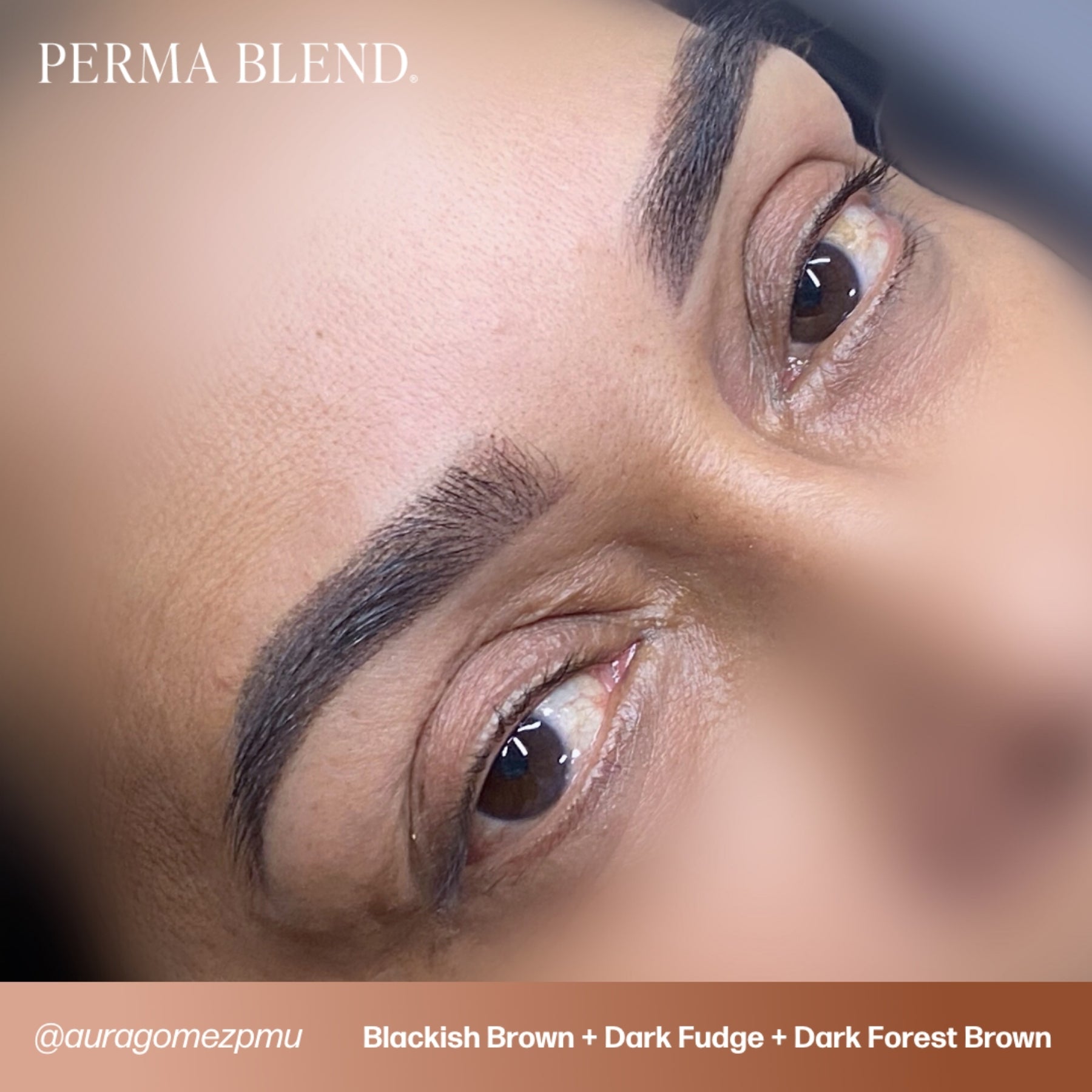 Perma Blend Eyebrow Pigments - Brow Shades - Tina Davies Professional
