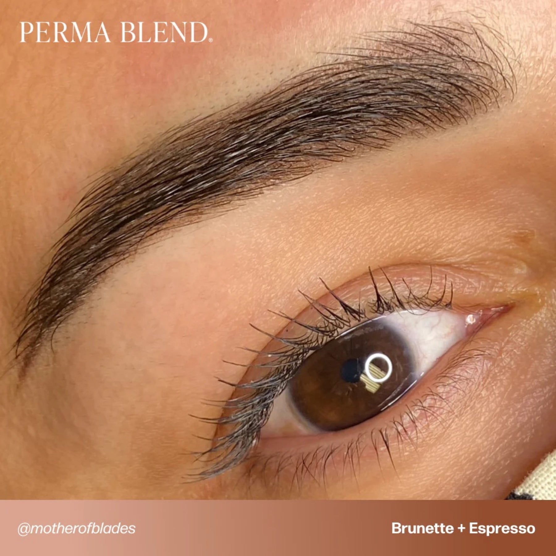 Perma Blend Eyebrow Pigments - Brow Shades - Tina Davies Professional
