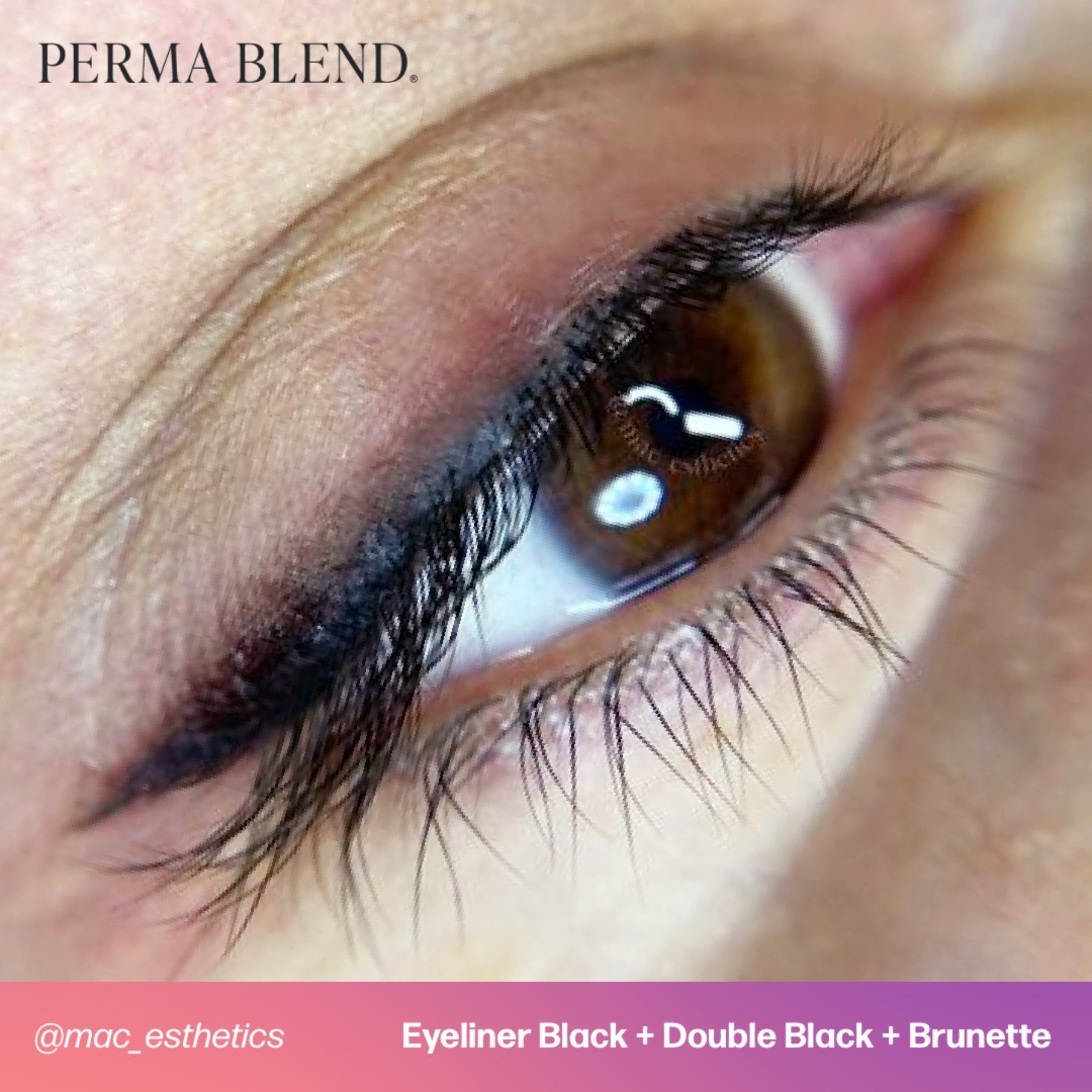 Perma Blend Eyeliner Pigments - Tina Davies Professional