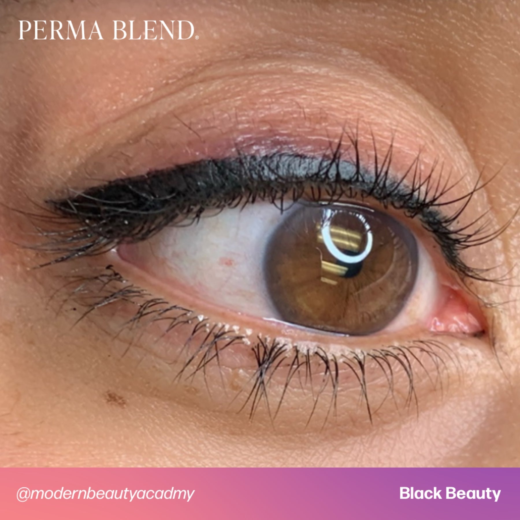 Perma Blend Eyeliner Pigments - Tina Davies Professional