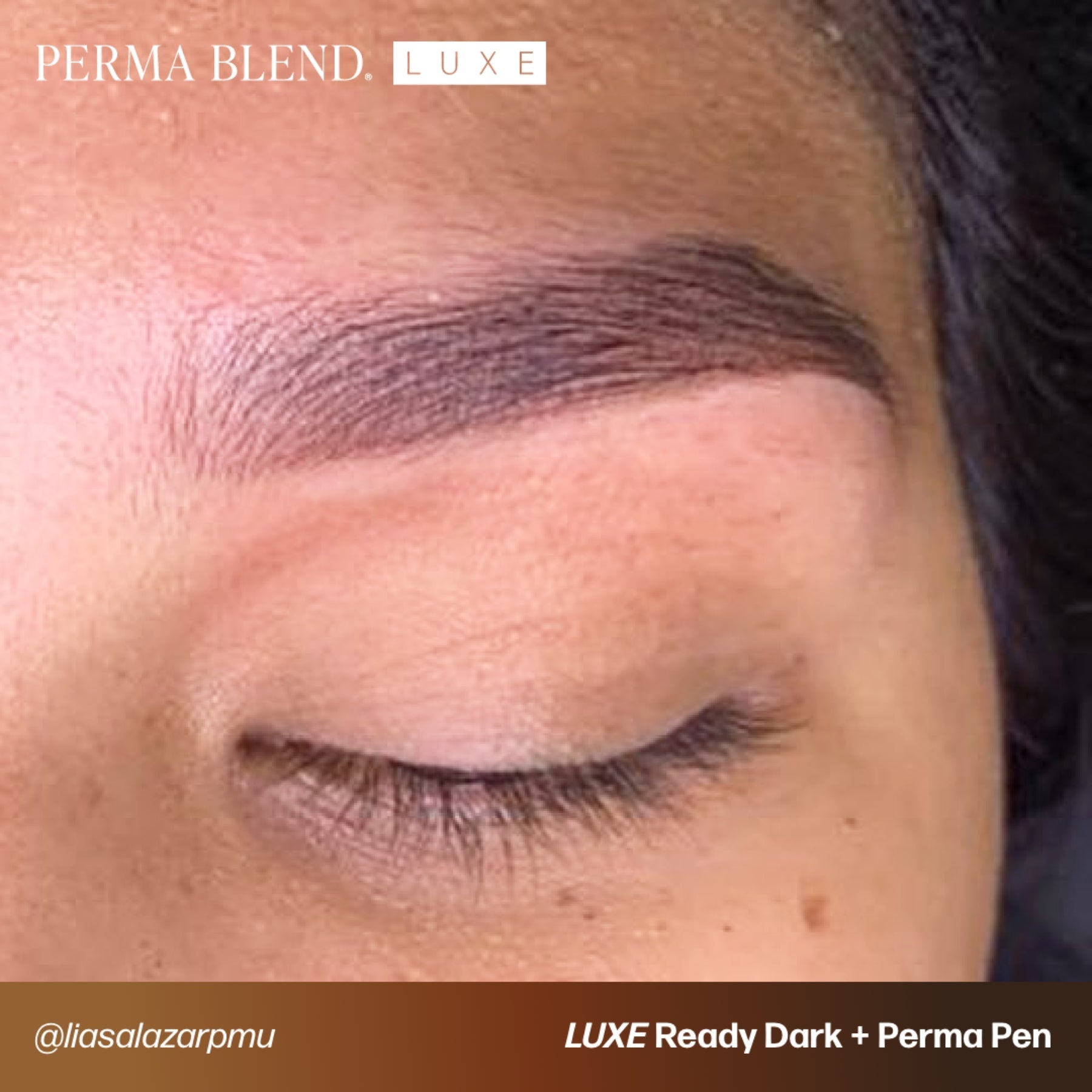 Perma Blend Luxe Ready - Set - Go Pre - Modified Brow Pigments - Tina Davies Professional