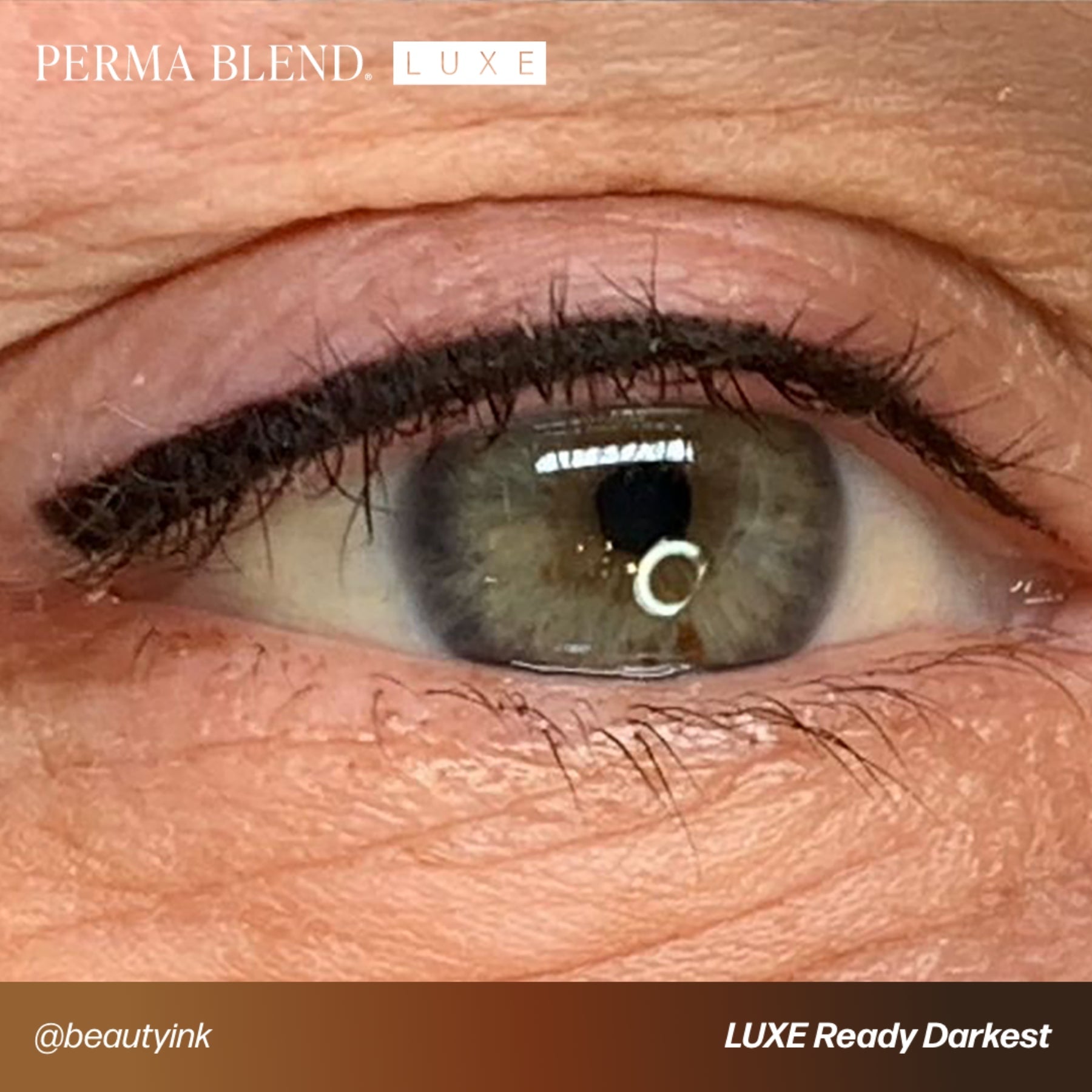 Perma Blend Luxe Ready - Set - Go Pre - Modified Brow Pigments - Tina Davies Professional