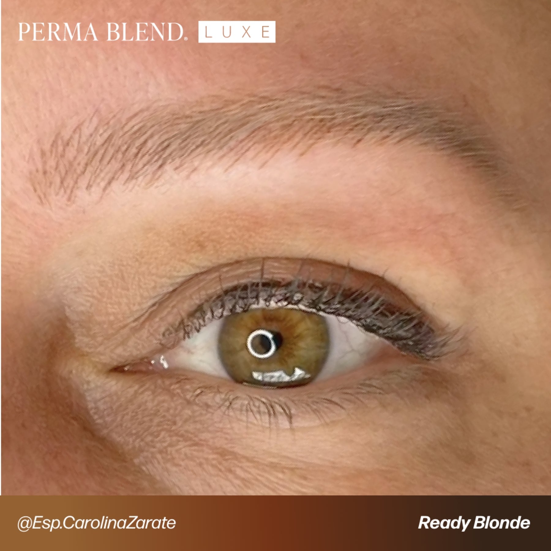 Perma Blend Luxe Ready - Set - Go Pre - Modified Brow Pigments - Tina Davies Professional