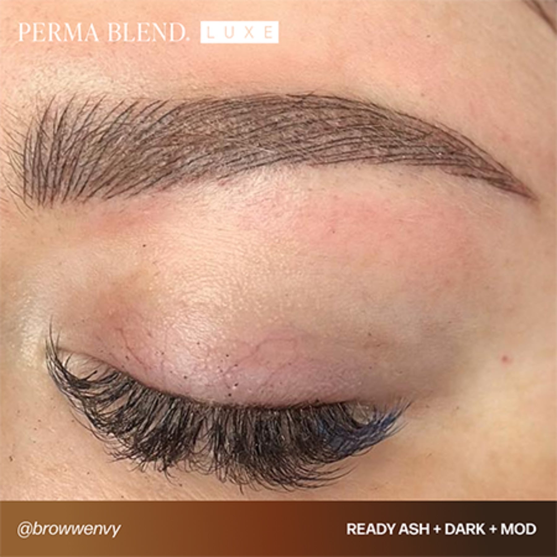 Perma Blend Luxe Ready - Set - Go Pre - Modified Brow Pigments - Tina Davies Professional