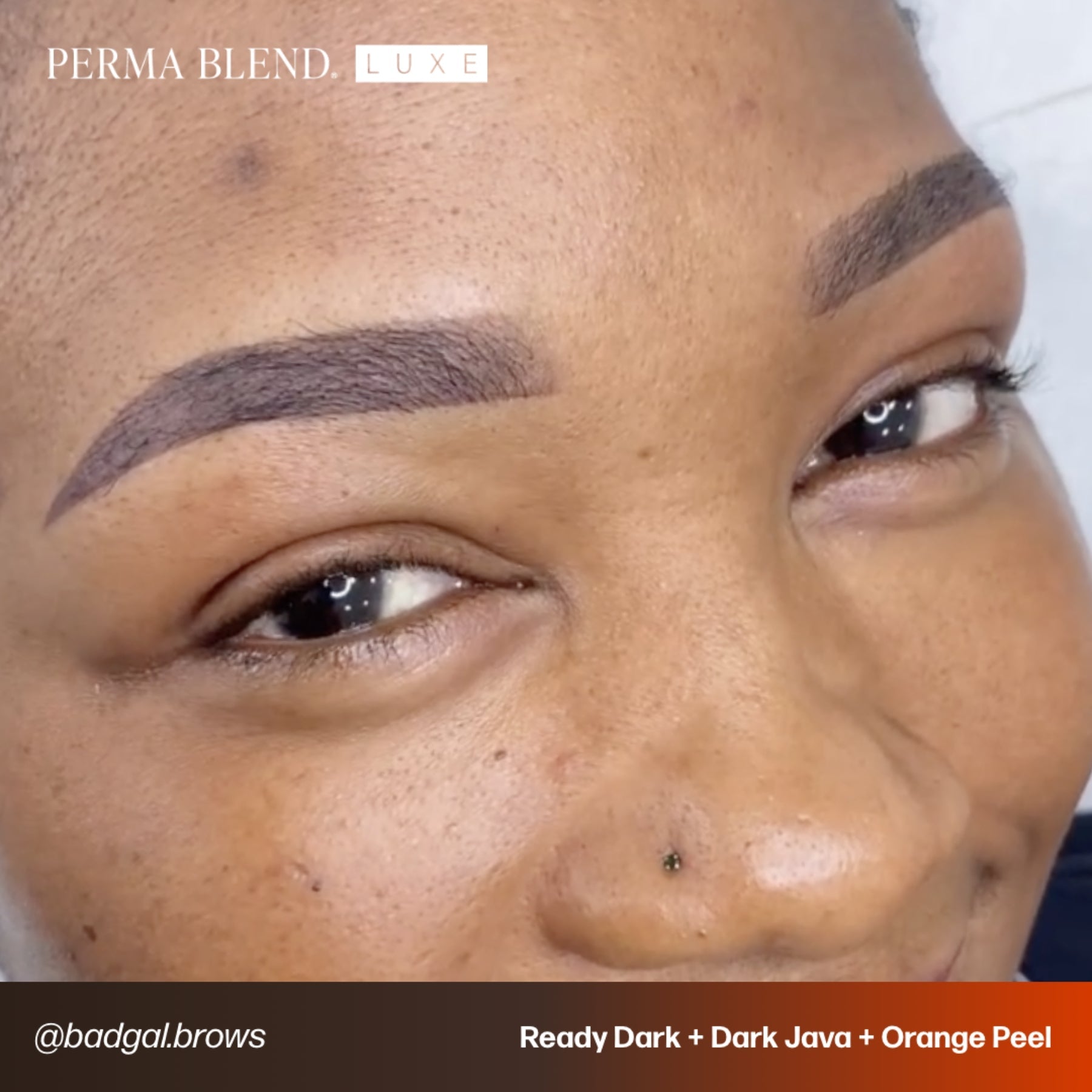 Perma Blend Luxe Ready - Set - Go Pre - Modified Brow Pigments - Tina Davies Professional
