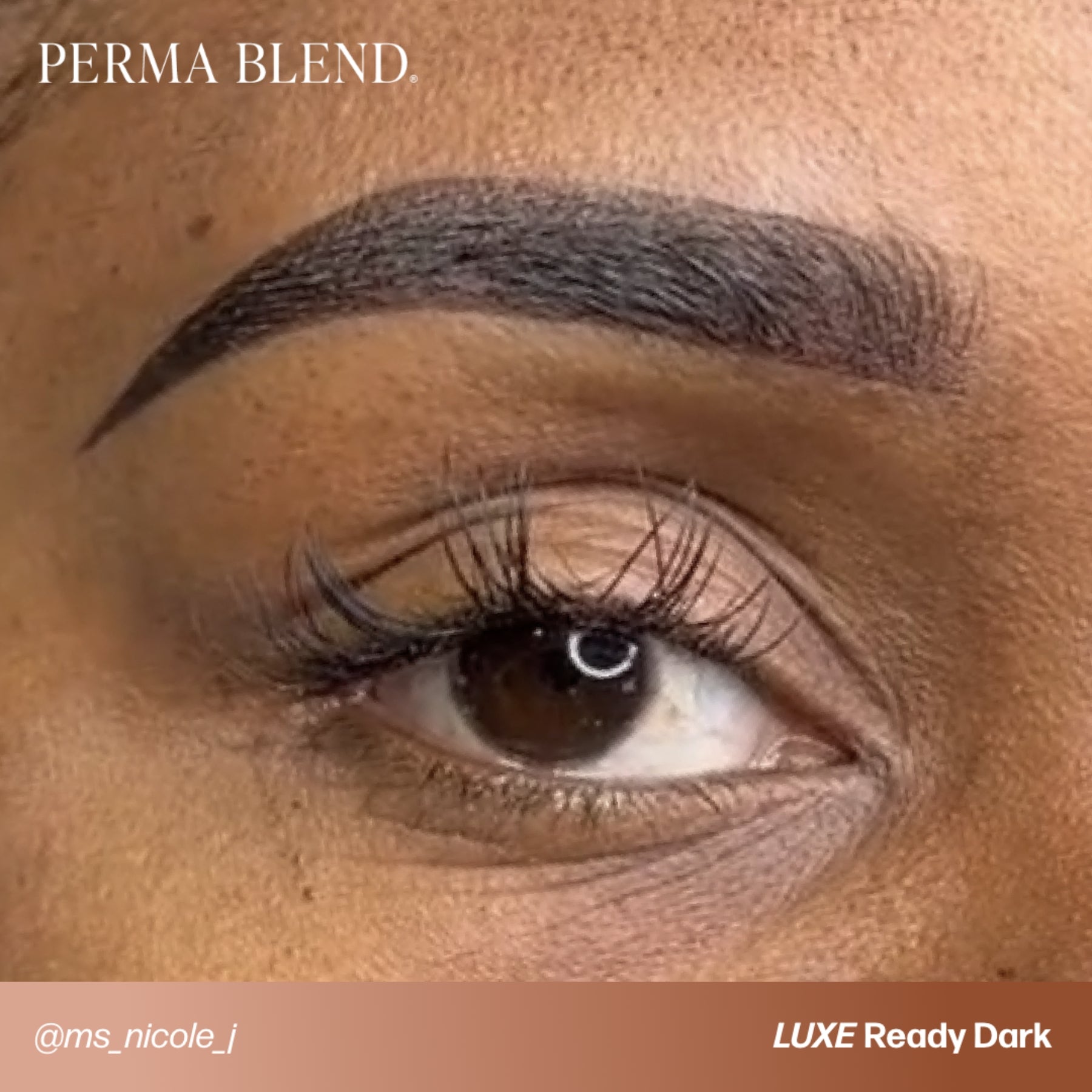 Perma Blend Luxe Ready - Set - Go Pre - Modified Brow Pigments - Tina Davies Professional