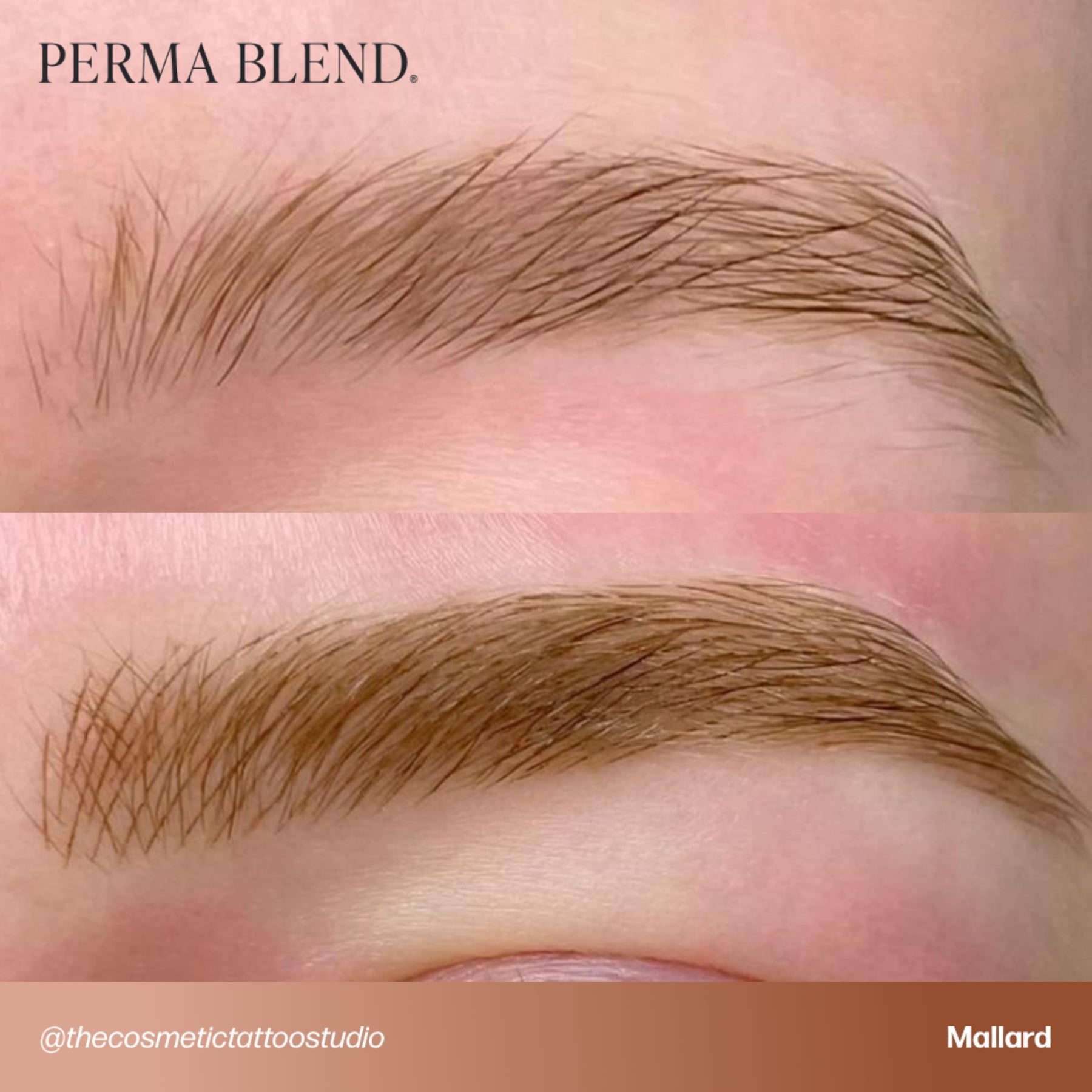 Perma Blend Signature Brow Set - Tina Davies Professional