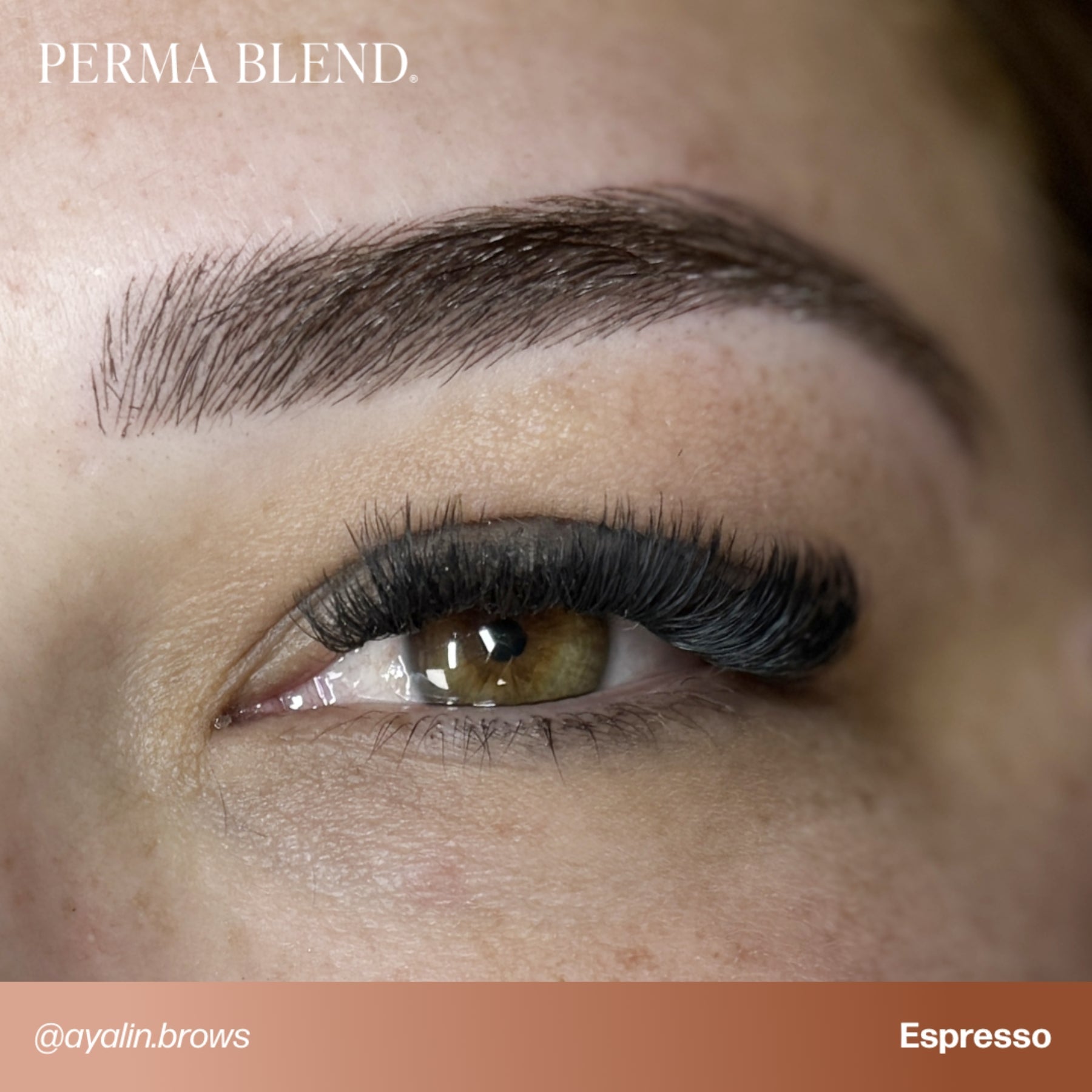 Perma Blend Signature Brow Set - Tina Davies Professional