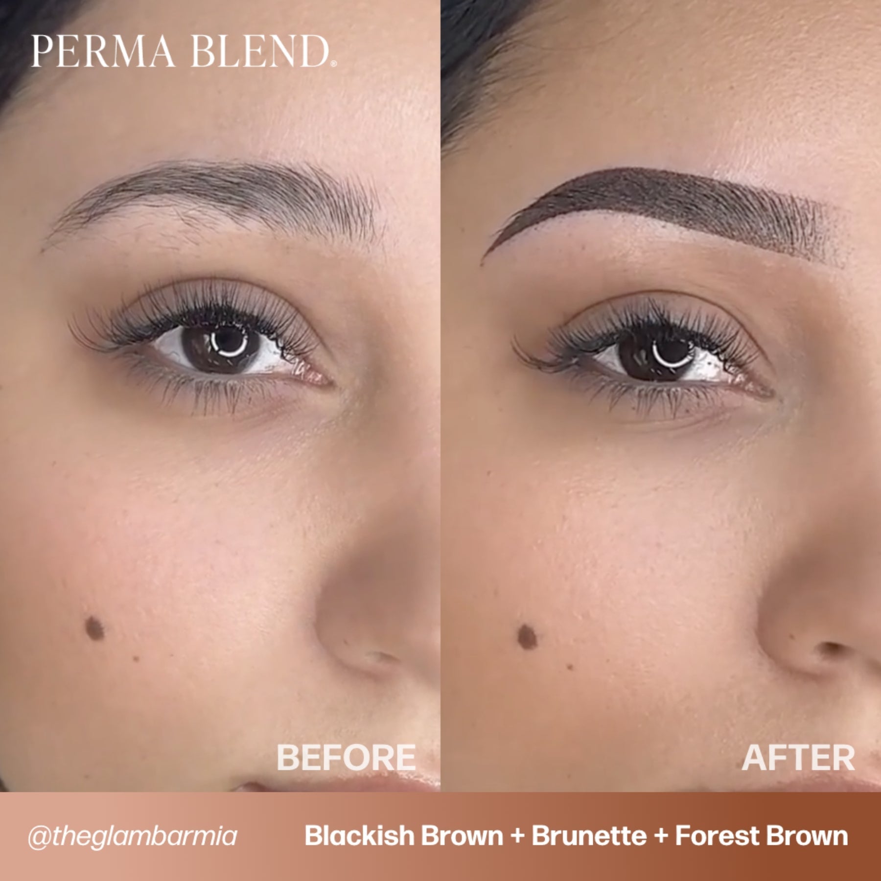 Perma Blend Signature Brow Set - Tina Davies Professional