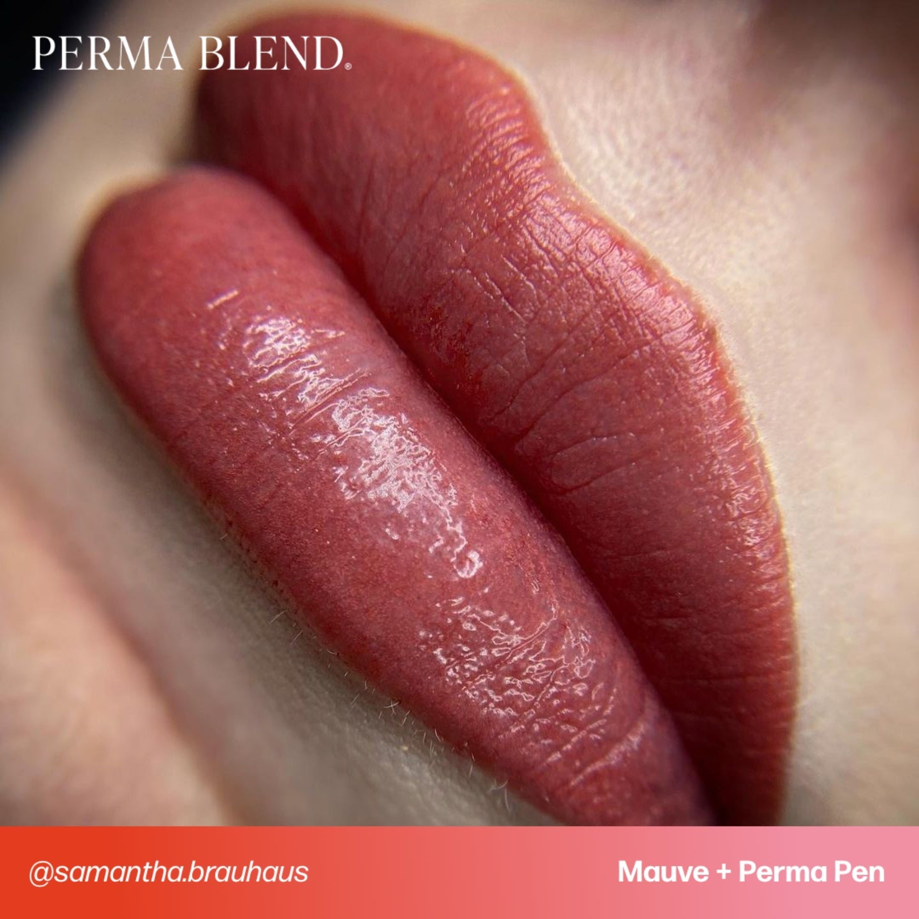 Perma Blend Sultry Lip Pigment Set - Tina Davies Professional