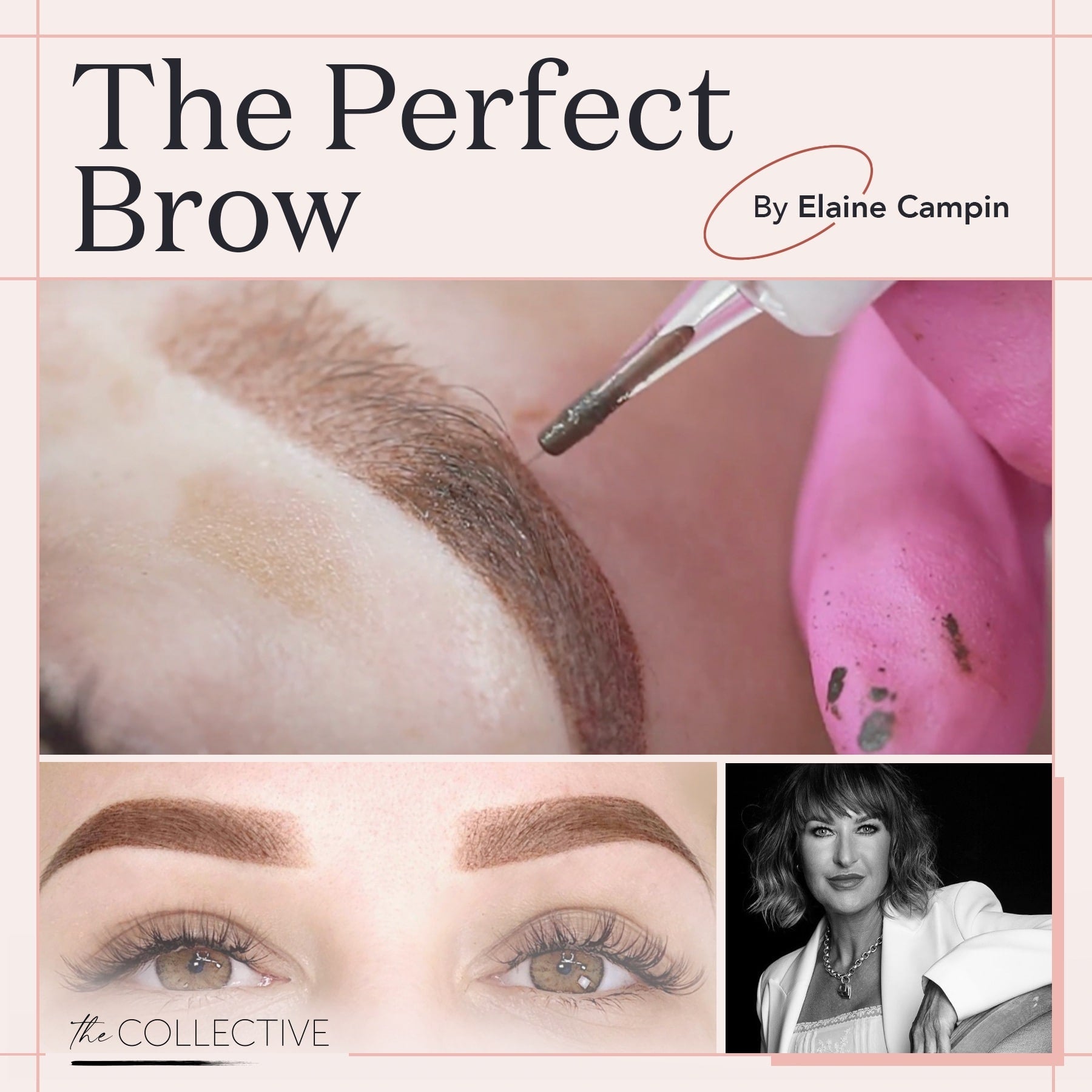 The Perfect Brow by Elaine Campin - Tina Davies Professional