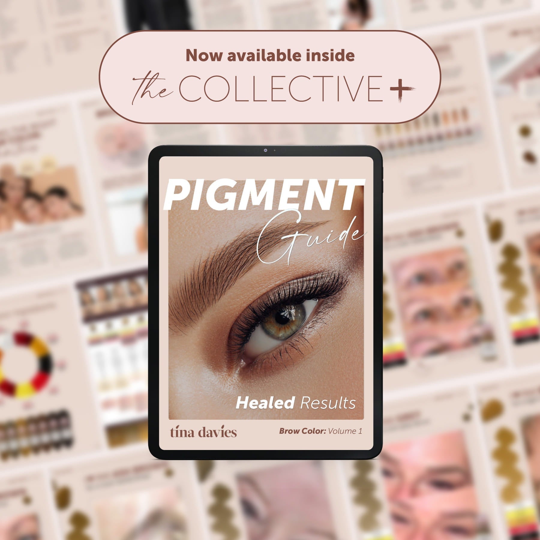Tina Davies Pigment Guide: Healed Results Brow Color: Volume 1 - Tina Davies Professional